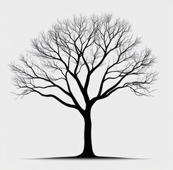 Silhouette of a large leafless tree with sprawling branches against a plain light background, evoking solitude and calmness