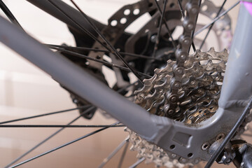 Close-up of a bicycle rear cassette and chain, showing multiple sprockets and drivetrain components.