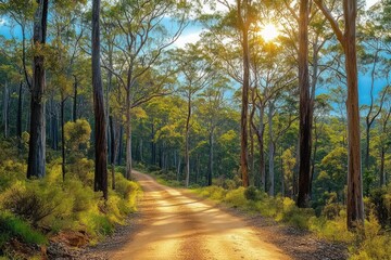 Obraz premium Sunlit dirt path winding through a dense forest with tall trees and green foliage under a clear blue sky