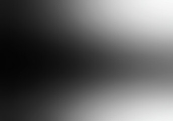 Person holding a bouquet of colorful flowers against a black and white background with a blur.