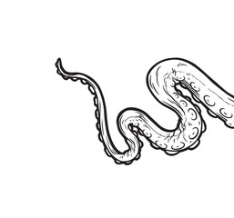 Tentacles of octopus, vector hand drawn collection of illustrations. Black and white engraving style drawings. Tentacle straight and with rings in different angles.