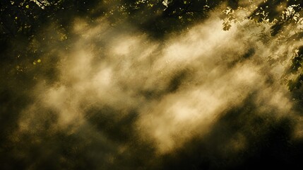 Golden Sunlight Rays Filtering Through Misty Forest Canopy