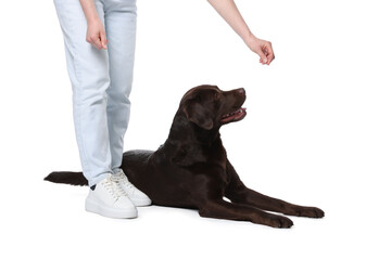Woman training her dog on white background, closeup