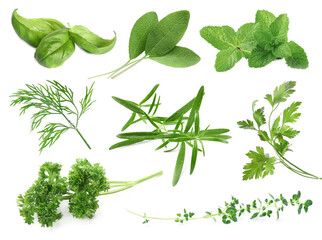 Set of different herbs isolated on white