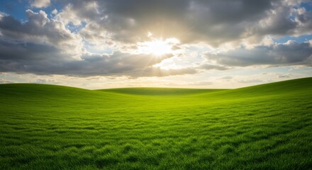 Obraz premium Vibrant Green Field at Sunset
