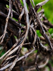 old rusty metal fence