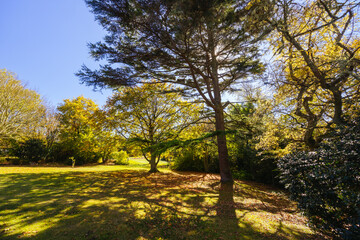 Obraz premium Seawinds Garden in Mornington Peninsula Australia