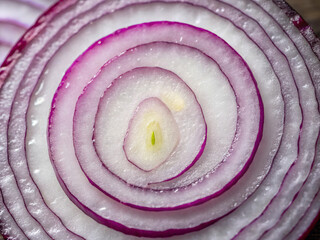 red onion rings. onion, red, food, vegetable, slice, white, isolated, purple, circle, cut, abstract, spiral, pattern, onions, ingredient, sliced, macro, fresh, texture, closeup, pink, mosquito, organi