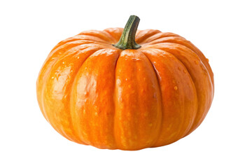 pumpkin isolated on white background