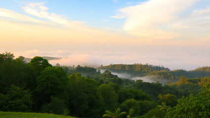Obraz premium Beautiful summer landscape with a river and a tree in the foreground