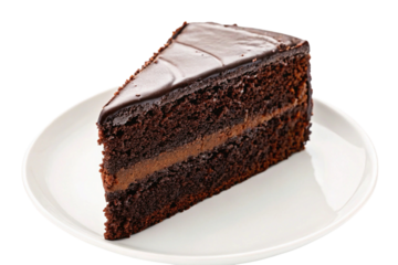 piece of chocolate cake on a plate