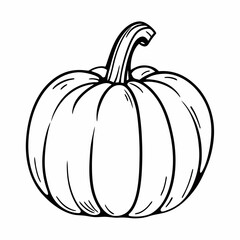 Classic autumn harvest pumpkin - line art vector illustration in white background
