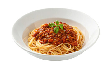 spaghetti with tomato sauce