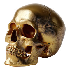 Obraz premium Glossy Gold Skull on Transparent Background for Creative Projects