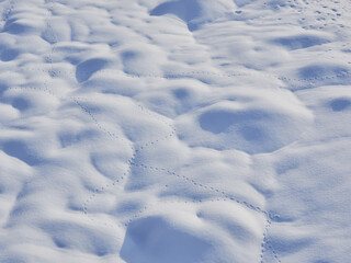 冬の野原の積雪の雪の景色