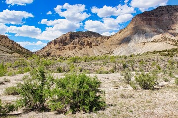 Spring Day in Ferron Canyon near Millsite State Park in Central Utah.