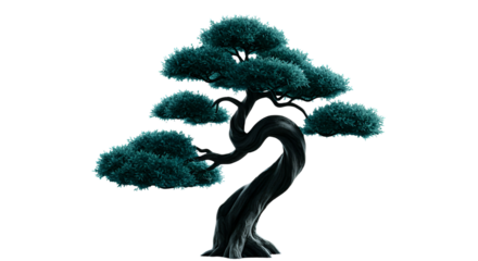 Stylized Bonsai Tree Illustration