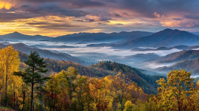 Sunrise over autumn mountain range fog creeping through valleys golden hues of the early morning light illuminating the vibrant autumn foliage on the trees cut out on isolated transparent background