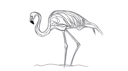 Minimalist Line Art of Flamingo Isolated on White Background Elegant Bird and Nature Illustration