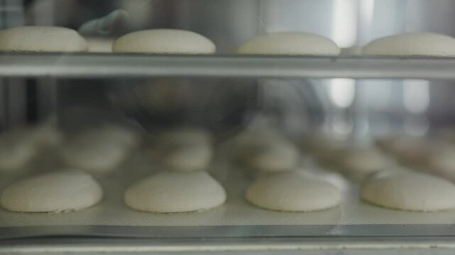 A close-up view of freshly baked macarons cooling on a tray inside an oven, showcasing the art of pastry making. Fresh Macarons Baking on Tray in Oven at Pastry Shop