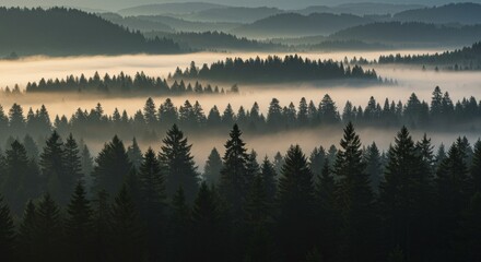 Detailed close-up of a natural linen and cotton blend fabric, exhibiting a neutral, standard weave.