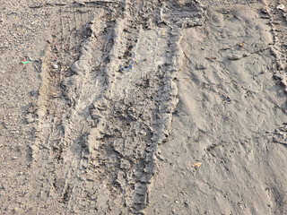 texture of the asphalt