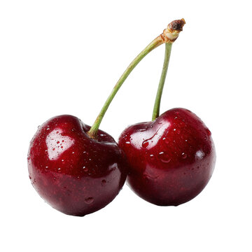 Two red cherries with water drops isolated on wet food ripe life stem dark on transparent background