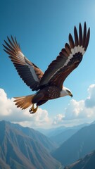 Obraz premium Majestic eagle soaring in the sky, sharp eyes, strong wings, high altitude, freedom, bird of prey, outdoor view