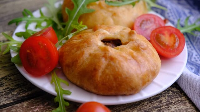 Mongolian buuz, dumplings with meat, savory fried dumplings filled with juicy meat, served on a plate with herb, arugula, tomatoes. Artisanal food