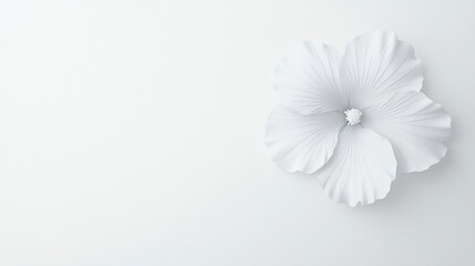 A delicate white flower with detailed petals rests on a plain, light background, creating a minimalist and elegant composition.