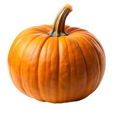 Obraz premium Perfect Orange Pumpkin: A Vibrant Autumn Harvest