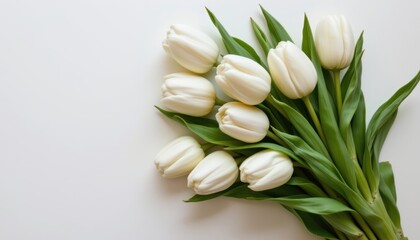Fresh White Tulip Bouquet with Lush Green Leaves on a Minimalist Background
