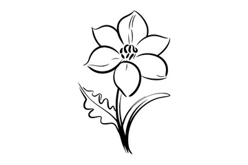 Simple black and white floral illustration with delicate lines of a single flower on white background