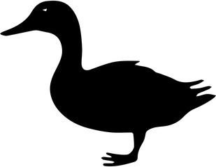 duck vector illustration