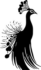 vector illustration of an peacock 