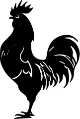 rooster isolated on white background