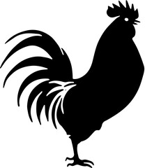 rooster isolated on white background