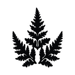 Obraz premium Black silhouette of a fern leaf with intricate patterns on a white background