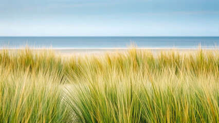 Serene coastal scene with tall green grass swaying in foreground, calm sea in background, and soft blue sky above