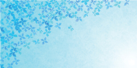 アジサイ　梅雨　花　背景	