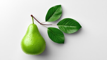 Realistic Pear on Plan white Background