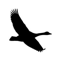 Obraz premium Silhouette of Flying Goose - Minimalist Vector