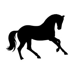 Fototapeta premium Silhouette Horse Running - Vector Graphic