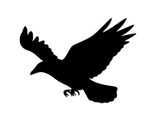 Obraz premium Silhouette Raven Flying - Black Bird Graphic