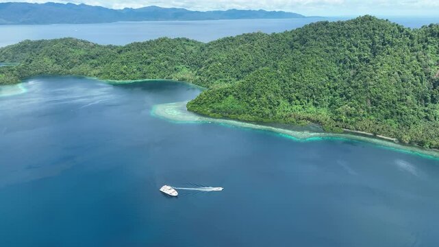 A coral reef grows on the edge of a scenic, palm-covered tropical island, Pulau Damar, near Halmahera, Indonesia. This beautiful area is home to an extraordinary array of marine biodiversity.