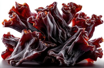 Vibrant and Intricate Close-Up of Unique Red-Black Organic Abstract Form with Curved Texture and Glossy Surface on Light Background