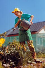 Woman Watering with Sprinkler in Garden during Spring. Gardener helps plants by hydrating them in a...