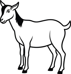 vector illustration of a goat