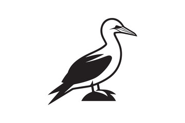 Obraz premium simple and unobtrusive Gannet bird vector silhouette illustration isolated in white background