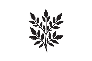 Fototapeta premium simple and unobtrusive Leafy herb vector silhouette illustration isolated in white background